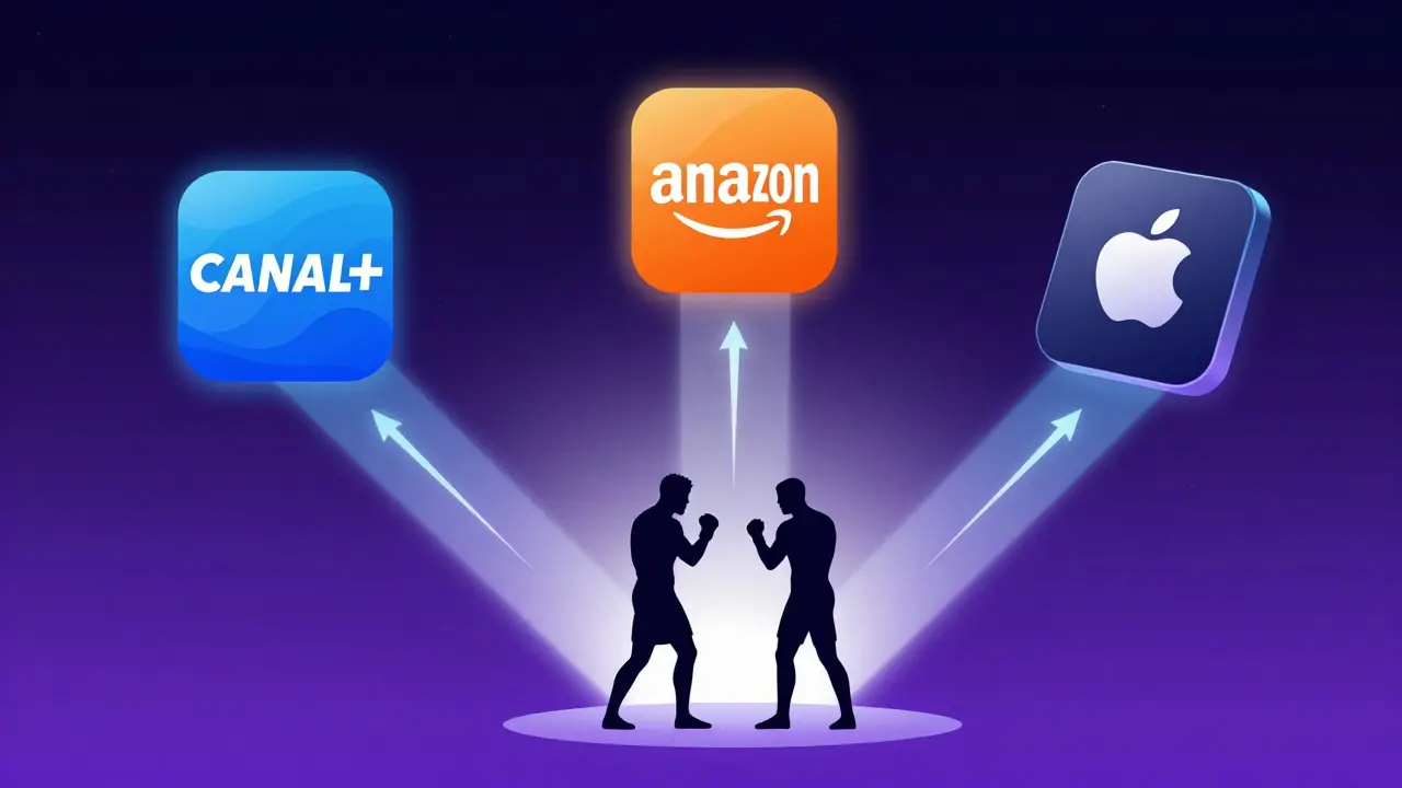 Icônes de plateformes de streaming connectées à des lutteurs MMA